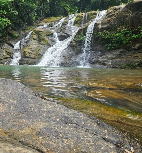 La Ceiba #1